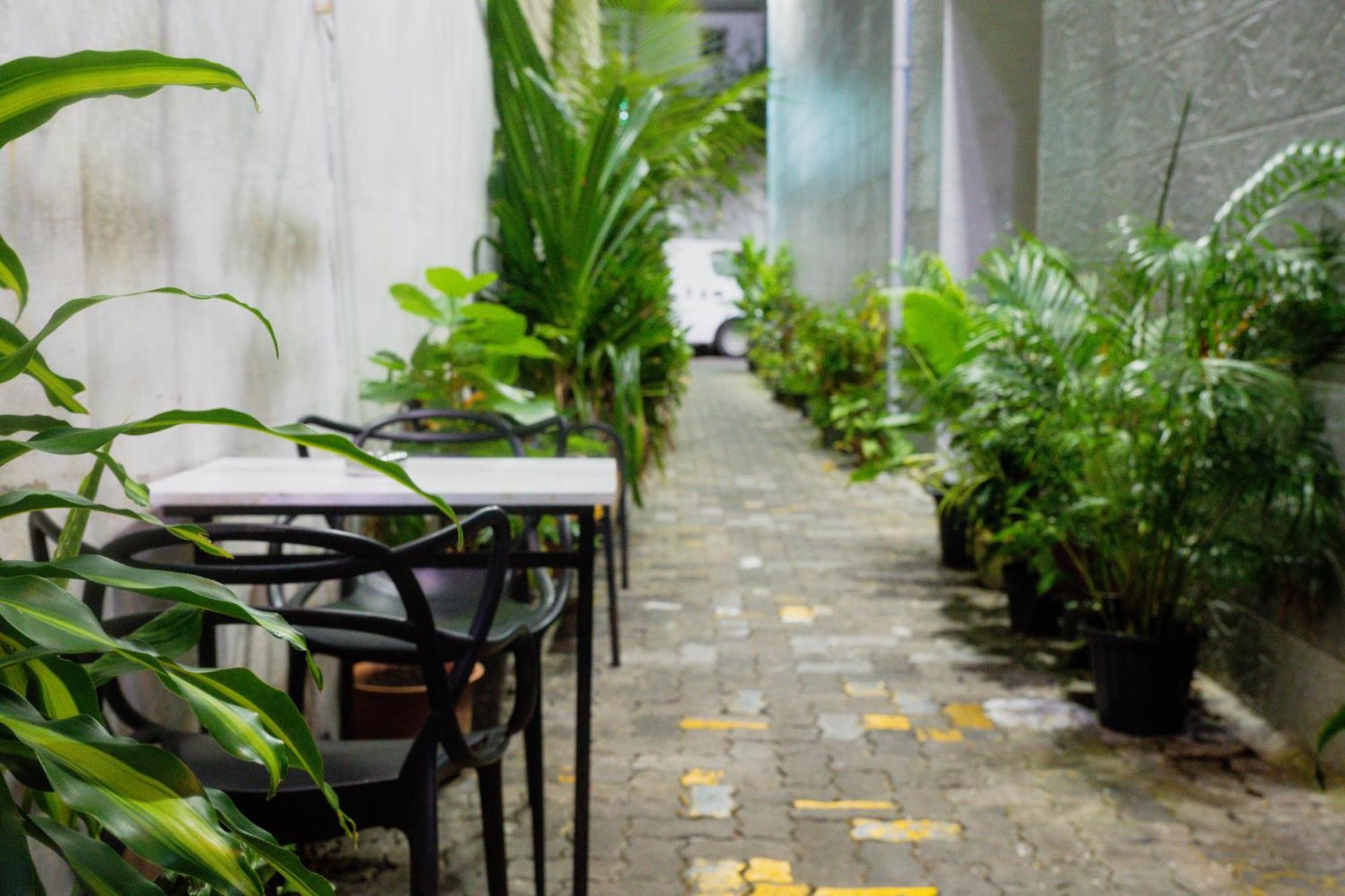 The Park House Hotel Male Ngoại thất bức ảnh
