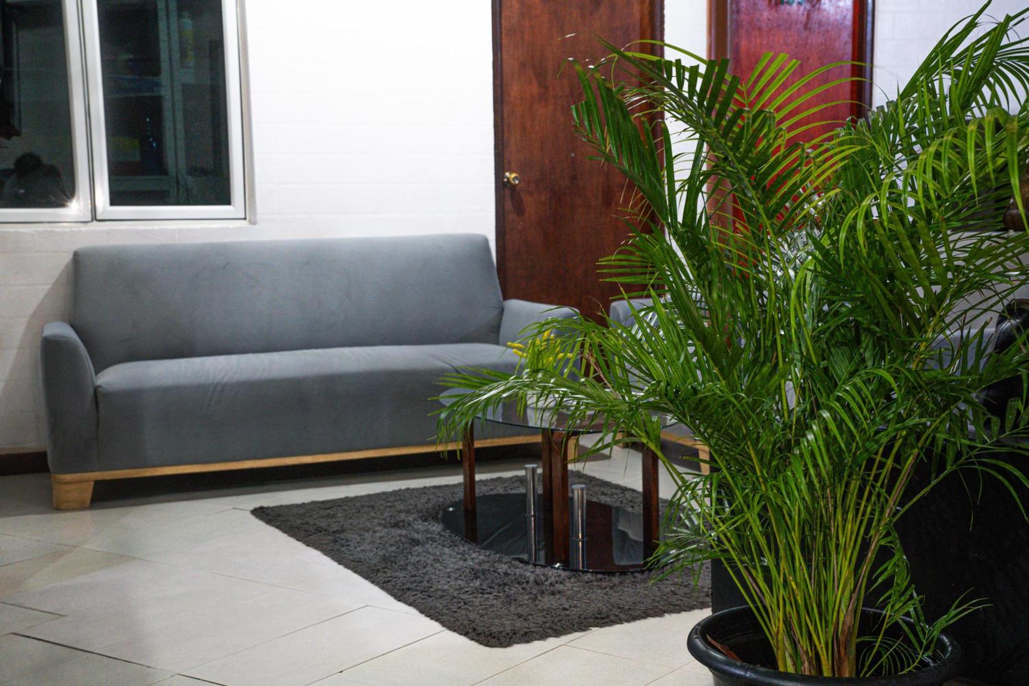 The Park House Hotel Male Ngoại thất bức ảnh